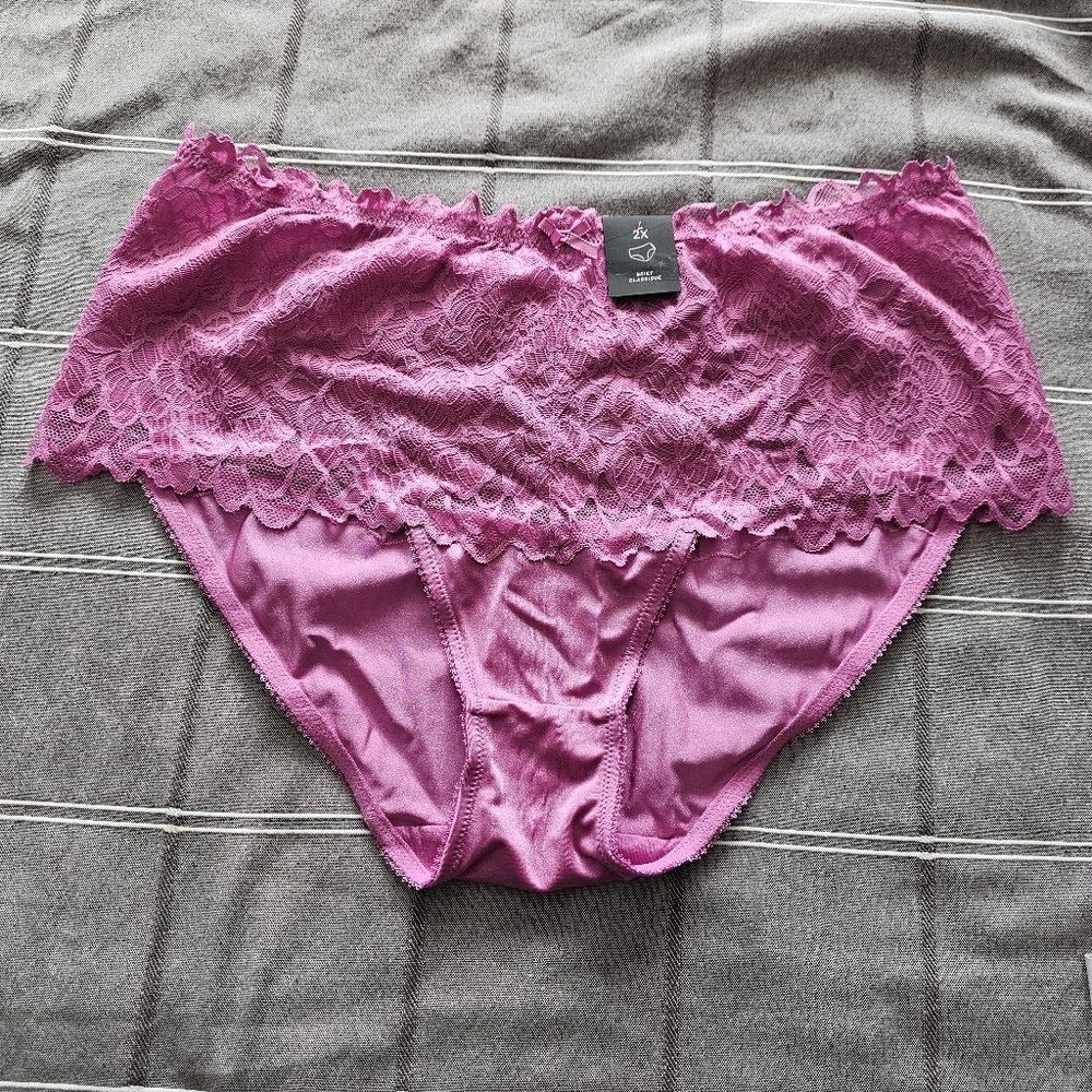 💥Dèesse NWT Lace Trim Pink Panties 2X